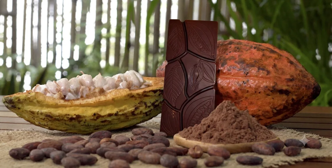 Une tablette de chocolat, une cabosse ouverte et de la poudre de cacao