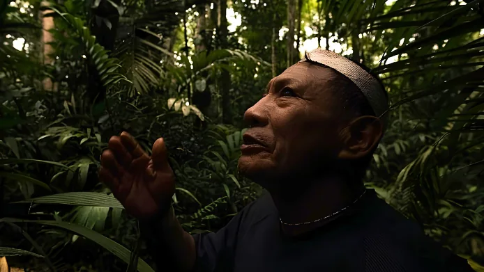 Un ancien de la forêt amazonienne, au milieu de la végétation